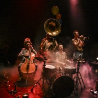 Chameaux ! © Virginie Meigné