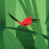 Profil rond visuel de saison 22-23